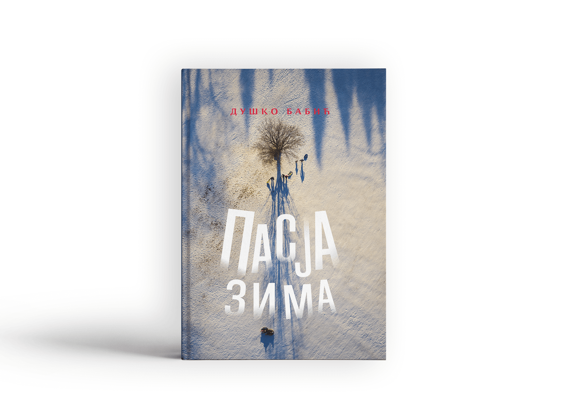 Pasјa zima